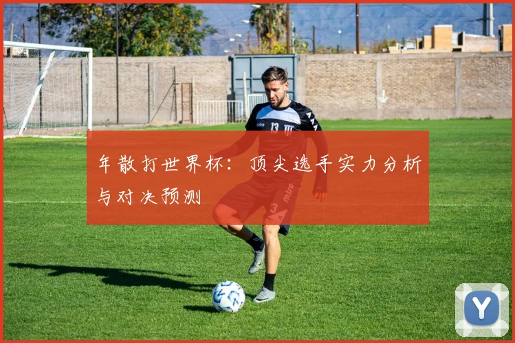 年散打世界杯：顶尖选手实力分析与对决预测